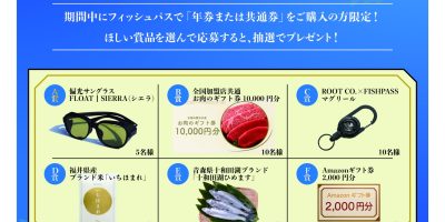 春の運試しキャンペーン！！